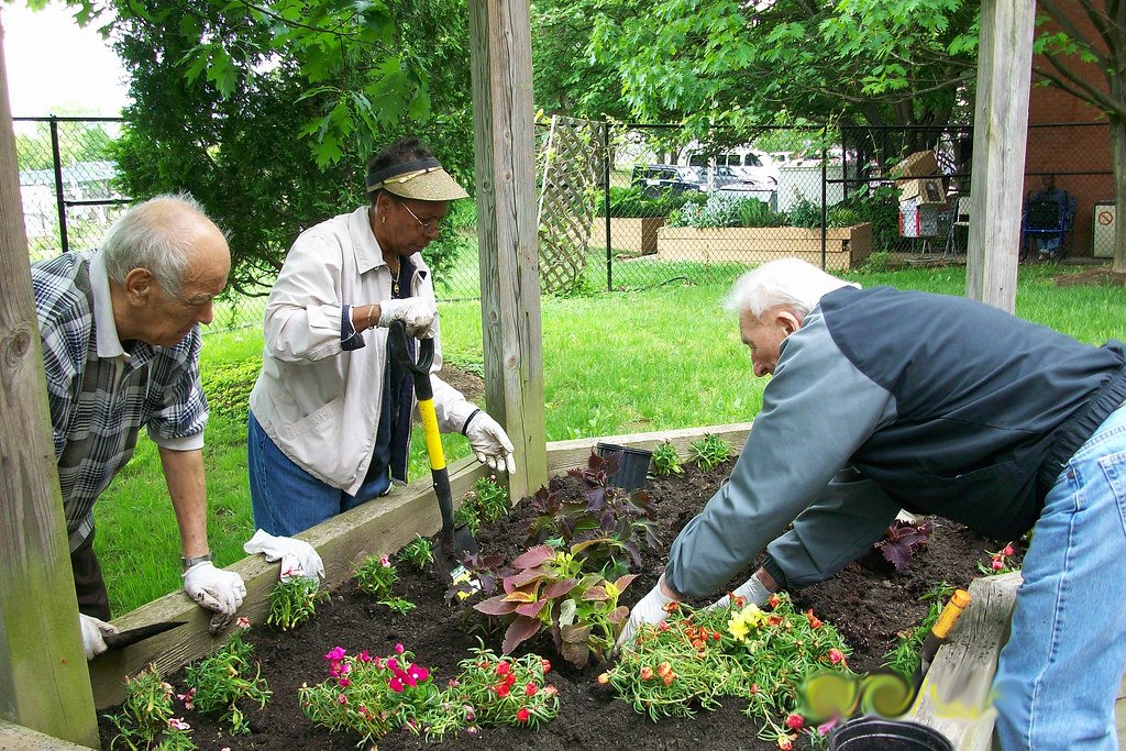 Nurturing the Mind: How Gardening Boosts ⁢Mental Health