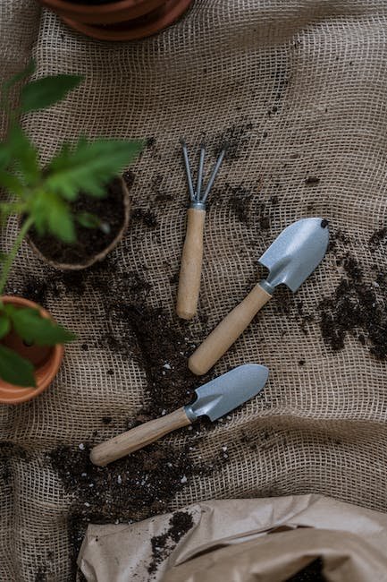 The Healing Power of Gardening: Exploring the Mental Wellness Benefits