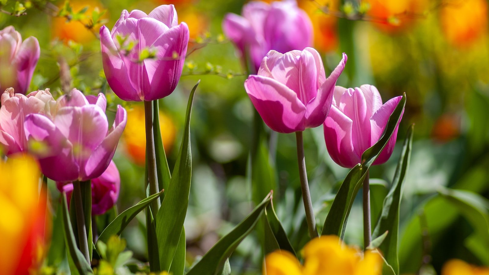 Creating​ a Space for Growth: Gardening as a Source of Self-care