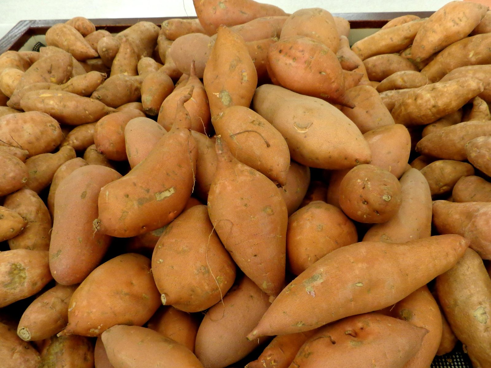 Choosing the Perfect Sweet Potatoes