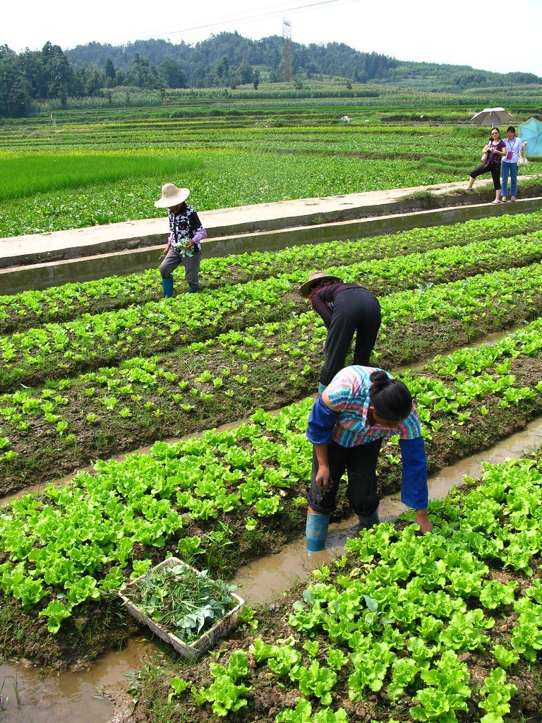 Sustainable Agriculture: Nurturing Our Children's⁣ Health and Future