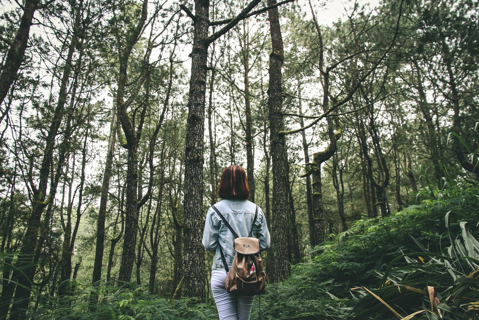 Exploring Coping Mechanisms and Emotional Regulation