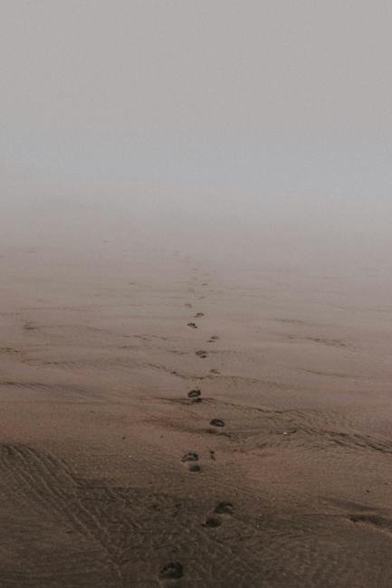Reducing Carbon Footprint: A Guide to Local Sourcing Practices