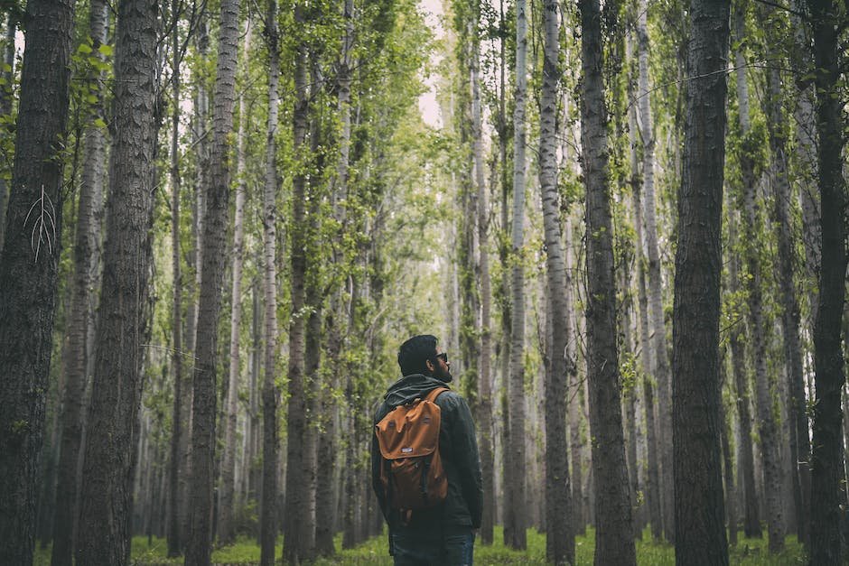 Exploring the⁢ Connection Between Cooking and‌ Emotional Wellbeing