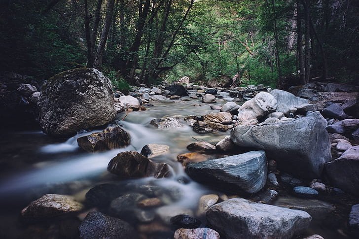 Navigating the Streaming Landscape: Choosing the Right Platform for Your Family